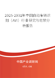 2025-2031年中國自動車輛識別（AVI）行業(yè)研究與前景分析報告