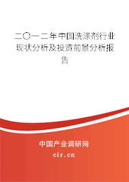 二〇一二年中國(guó)洗滌劑行業(yè)現(xiàn)狀分析及投資前景分析報(bào)告