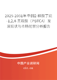 2025-2031年中國(guó)2-膦酸丁烷-1,2,4-三羧酸（PBTCA）發(fā)展現(xiàn)狀與市場(chǎng)前景分析報(bào)告