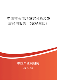 中國柱頭市場研究分析及發(fā)展預測報告（2025年版）