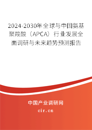 2024-2030年全球與中國氨基聚羧酸（APCA）行業(yè)發(fā)展全面調研與未來趨勢預測報告