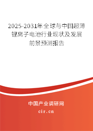 2025-2031年全球與中國超薄鋰離子電池行業(yè)現(xiàn)狀及發(fā)展前景預(yù)測報告