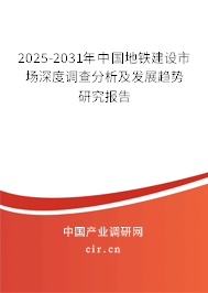 2025-2031年中國(guó)地鐵建設(shè)市場(chǎng)深度調(diào)查分析及發(fā)展趨勢(shì)研究報(bào)告
