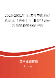 2025-2031年全球與中國(guó)肺動(dòng)脈高壓（PAH）行業(yè)現(xiàn)狀調(diào)研及前景趨勢(shì)預(yù)測(cè)報(bào)告
