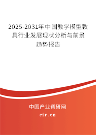 2025-2031年中國(guó)教學(xué)模型教具行業(yè)發(fā)展現(xiàn)狀分析與前景趨勢(shì)報(bào)告