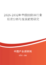 2024-2030年中國金剛絲行業(yè)現(xiàn)狀分析與發(fā)展趨勢研究