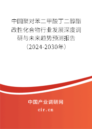 中國聚對苯二甲酸丁二醇酯改性化合物行業(yè)發(fā)展深度調(diào)研與未來趨勢預(yù)測報告（2024-2030年）