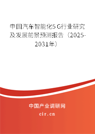 中國汽車智能化5G行業(yè)研究及發(fā)展前景預(yù)測報告（2025-2031年）