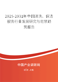 2025-2031年中國清洗、保潔服務(wù)行業(yè)發(fā)展研究與前景趨勢報告