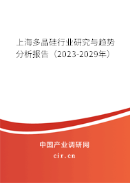 上海多晶硅行業(yè)研究與趨勢分析報告（2023-2029年）