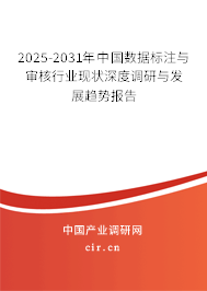 2025-2031年中國數據標注與審核行業(yè)現狀深度調研與發(fā)展趨勢報告