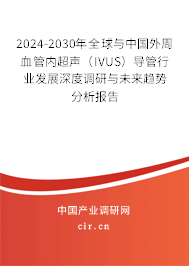 2024-2030年全球與中國外周血管內(nèi)超聲(IVUS)導(dǎo)管行業(yè)發(fā)展深度調(diào)研與未來趨勢分析報告 2024-2030年全球與中國外周血管內(nèi)超聲(IVUS)導(dǎo)管行業(yè)發(fā)展深度調(diào)研與未來趨勢分析報告