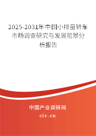 2025-2031年中國小排量轎車市場調(diào)查研究與發(fā)展前景分析報告