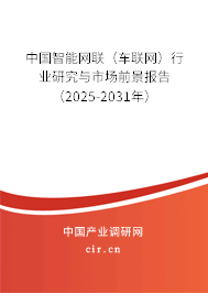 中國智能網(wǎng)聯(lián)（車聯(lián)網(wǎng)）行業(yè)研究與市場前景報告（2025-2031年）