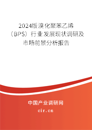 2024版溴化聚苯乙烯（BPS）行業(yè)發(fā)展現(xiàn)狀調(diào)研及市場前景分析報告