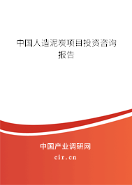 中國(guó)人造泥炭項(xiàng)目投資咨詢報(bào)告