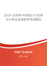 2023-2029年中國威行行業(yè)研究分析及發(fā)展趨勢預(yù)測報告