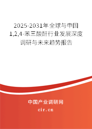 2025-2031年全球與中國1,2,4-苯三酸酐行業(yè)發(fā)展深度調研與未來趨勢報告 2025-2031年全球與中國1,2,4-苯三酸酐行業(yè)發(fā)展深度調研與未來趨勢報告