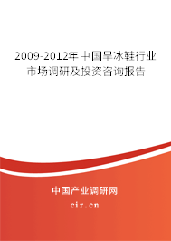 2009-2012年中國旱冰鞋行業(yè)市場調(diào)研及投資咨詢報告