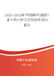 2025-2031年中國草坪加固行業(yè)市場分析與前景趨勢預測報告