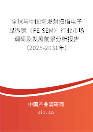 全球與中國場發(fā)射掃描電子顯微鏡（FE-SEM）行業(yè)市場調(diào)研及發(fā)展前景分析報(bào)告（2025-2031年）