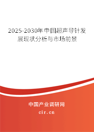 2025-2030年中國超聲導(dǎo)針發(fā)展現(xiàn)狀分析與市場前景