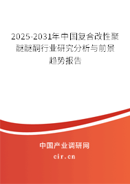 2024-2030年中國復合改性聚醚醚酮行業(yè)研究分析與前景趨勢報告