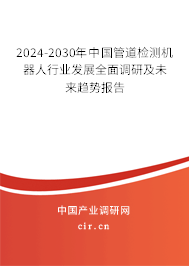 2024-2030年中國管道檢測機器人行業(yè)發(fā)展全面調研及未來趨勢報告