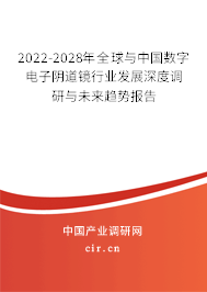2022-2028年全球與中國數(shù)字電子陰道鏡行業(yè)發(fā)展深度調(diào)研與未來趨勢報告