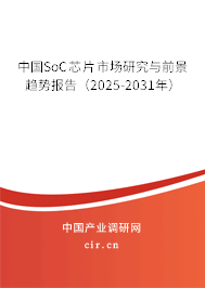中國SoC芯片市場研究與前景趨勢報告(2025-2031年) 中國SoC芯片市場研究與前景趨勢報告(2025-2031年)