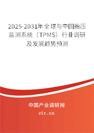 2025-2031年全球與中國胎壓監(jiān)測系統(tǒng)(TPMS)行業(yè)調(diào)研及發(fā)展趨勢預(yù)測 2025-2031年全球與中國胎壓監(jiān)測系統(tǒng)(TPMS)行業(yè)調(diào)研及發(fā)展趨勢預(yù)測