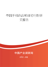 中國(guó)手機(jī)飾品項(xiàng)目可行性研究報(bào)告