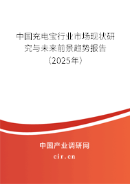 中國充電寶行業(yè)市場現(xiàn)狀研究與未來前景趨勢報告（2025年）