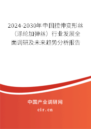 2024-2030年中國拉伸變形絲（滌綸加彈絲）行業(yè)發(fā)展全面調(diào)研及未來趨勢分析報告