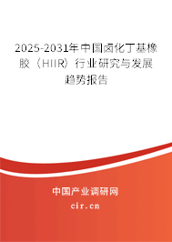 2025-2031年中國鹵化丁基橡膠（HIIR）行業(yè)研究與發(fā)展趨勢報告