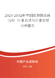 2025-2031年中國能源路由器（ER）行業(yè)現(xiàn)狀與行業(yè)前景分析報(bào)告