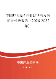 中國尼龍6/6行業(yè)現(xiàn)狀與發(fā)展前景分析報告（2026-2032年）
