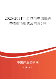 2025-2031年全球與中國(guó)匹克球拍市場(chǎng)現(xiàn)狀及前景分析