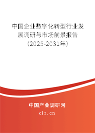 中國企業(yè)數(shù)字化轉型行業(yè)發(fā)展調研與市場前景報告(2025-2031年) 中國企業(yè)數(shù)字化轉型行業(yè)發(fā)展調研與市場前景報告(2025-2031年)