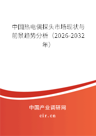 中國熱電偶探頭市場現(xiàn)狀與前景趨勢分析（2026-2032年）