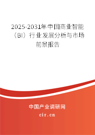 2025-2031年中國商業(yè)智能（BI）行業(yè)發(fā)展分析與市場前景報告