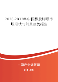 2026-2032年中國橡膠腳蹼市場現(xiàn)狀與前景趨勢報(bào)告