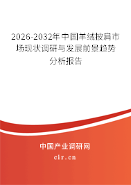 2026-2032年中國羊絨披肩市場現(xiàn)狀調(diào)研與發(fā)展前景趨勢分析報告