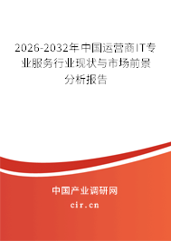 2026-2032年中國運(yùn)營商IT專業(yè)服務(wù)行業(yè)現(xiàn)狀與市場前景分析報(bào)告