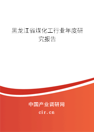 黑龍江省煤化工行業(yè)年度研究報告 黑龍江省煤化工行業(yè)年度研究報告