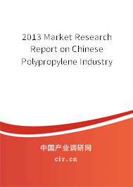 2013 Market Research Report on Chinese Polypropylene Industry