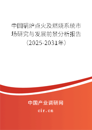 中國(guó)鍋爐點(diǎn)火及燃燒系統(tǒng)市場(chǎng)研究與發(fā)展前景分析報(bào)告（2025-2031年）