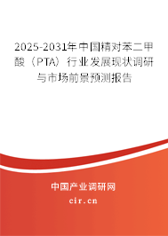 2025-2031年中國精對苯二甲酸（PTA）行業(yè)發(fā)展現(xiàn)狀調研與市場前景預測報告