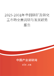 2025-2031年中國(guó)磷礦及磷化工市場(chǎng)全面調(diào)研與發(fā)展趨勢(shì)報(bào)告