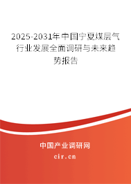 2025-2031年中國寧夏煤層氣行業(yè)發(fā)展全面調研與未來趨勢報告